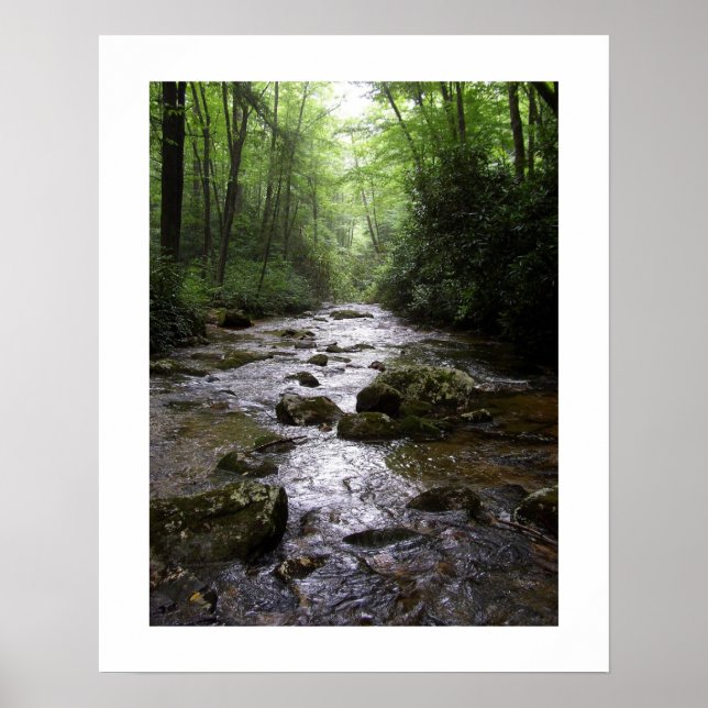 Downstream Poster (Front)