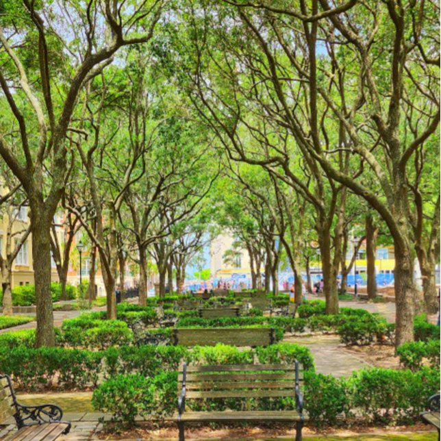 Downtown Charleston, SC Building Poster (Creator Uploaded)