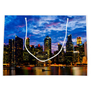 Downtown core large gift bag