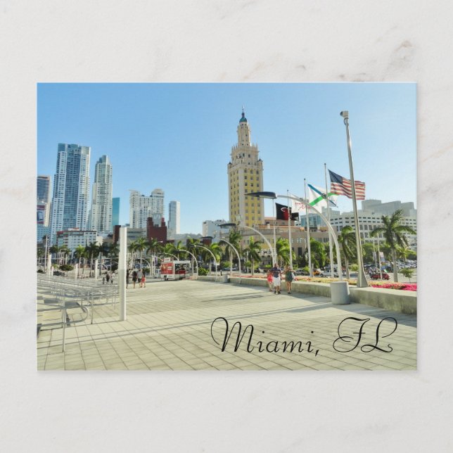 Downtown Miami / Freedom Tower Postcard (Front)