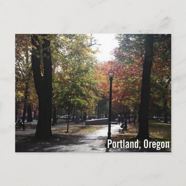 Downtown Portland, PSU Parkblocks Postcard (Front)