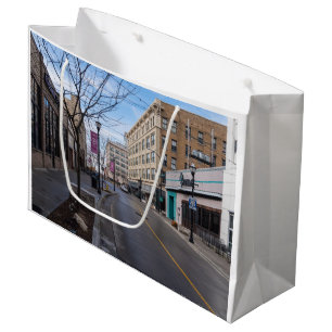 Downtown Springfield Large Gift Bag