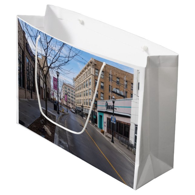 Downtown Springfield Large Gift Bag (Front Angled)