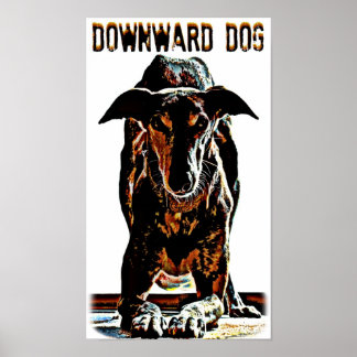 Downward Dog Poster