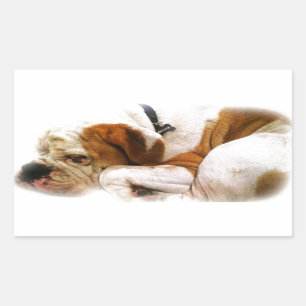 Downward Dog Rectangular Sticker