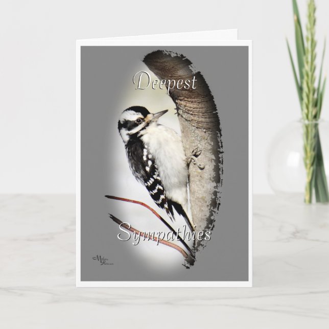 Downy Woodpecker 8998- customise as desired Card (Front)