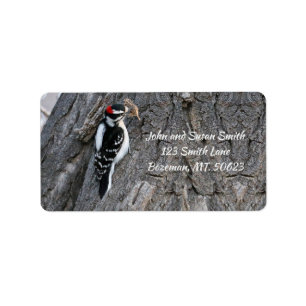 Downy Woodpecker Address Label