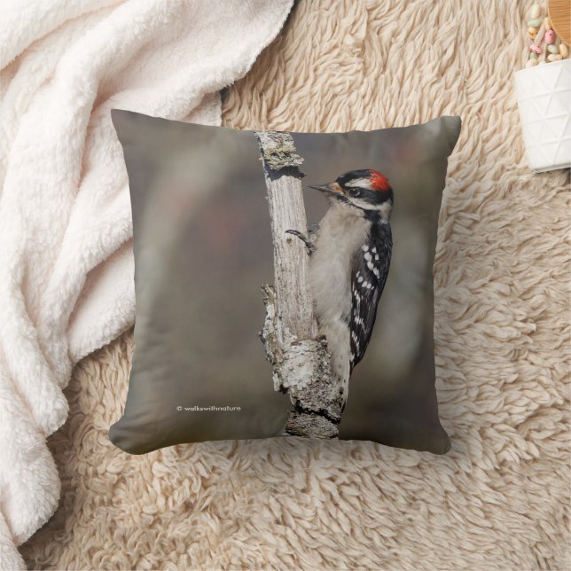 Downy Woodpecker Bird on Branch Cushion (Blanket)
