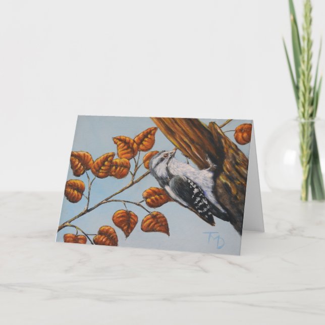 Downy Woodpecker - Blank Greeting Card (Front)