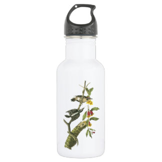 Downy Woodpecker by Audubon 532 Ml Water Bottle