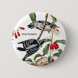 Downy Woodpecker by Audubon, Birdwatcher Birder 6 Cm Round Badge