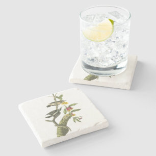 Downy Woodpecker by Audubon Stone Coaster