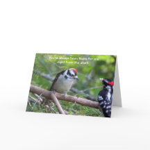 Downy Woodpecker Card for a parent or guardian