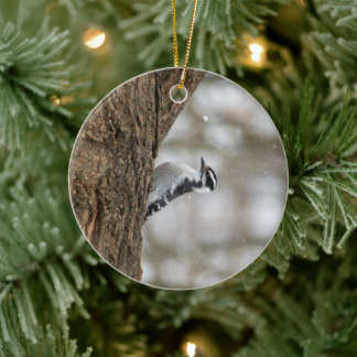 Downy Woodpecker | Ceramic Ornament