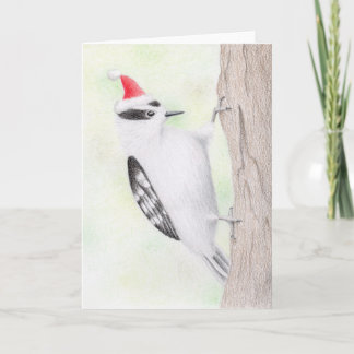 Downy Woodpecker Christmas Card