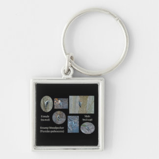 Downy Woodpecker Composite Pictures Items Key Ring