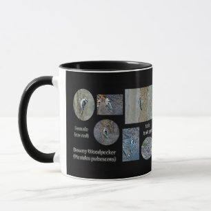 Downy Woodpecker Composite Pictures Items Mug