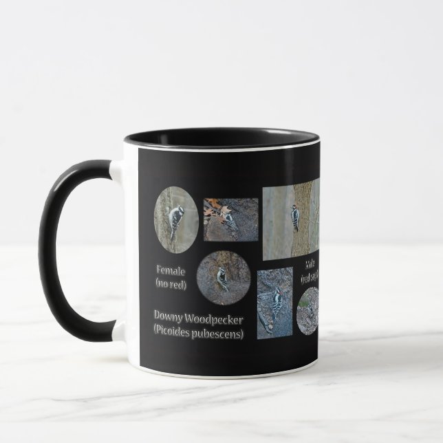 Downy Woodpecker Composite Pictures Items Mug (Left)