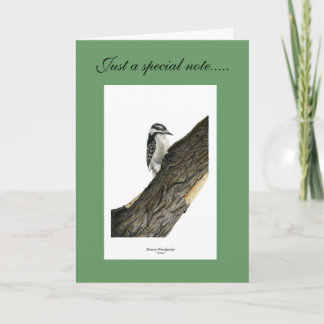 Downy Woodpecker (Female) Thank You Card