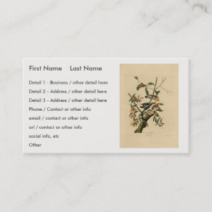 Downy Woodpecker - from Audubon's Birds of America Business Card