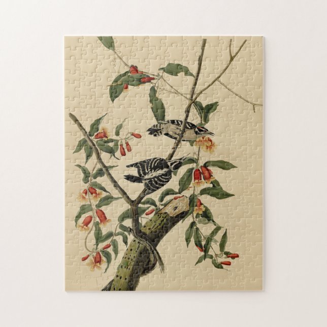 Downy Woodpecker - from Audubon's Birds of America Jigsaw Puzzle (Vertical)