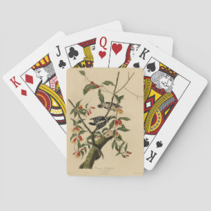 Downy Woodpecker - from Audubon's Birds of America Playing Cards