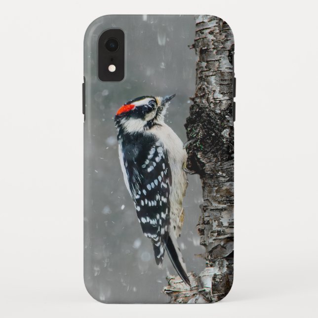 Downy Woodpecker in Snow - Original Photograph Case-Mate iPhone Case (Back)