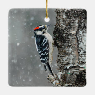 Downy Woodpecker in Snow - Original Photograph Ceramic Ornament