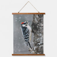Downy Woodpecker in Snow - Original Photograph