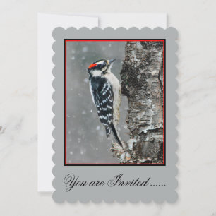 Downy Woodpecker in Snow - Original Photograph Invitation
