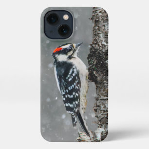 Downy Woodpecker in Snow - Original Photograph iPhone 13 Case