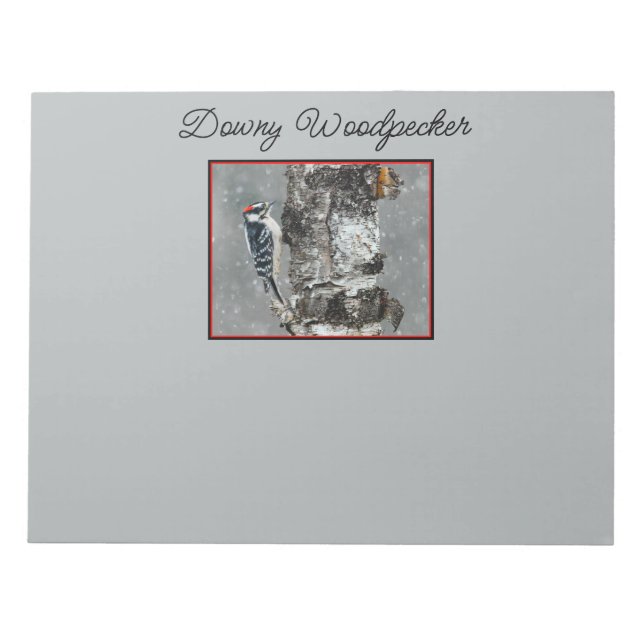 Downy Woodpecker in Snow - Original Photograph Notepad (Front)