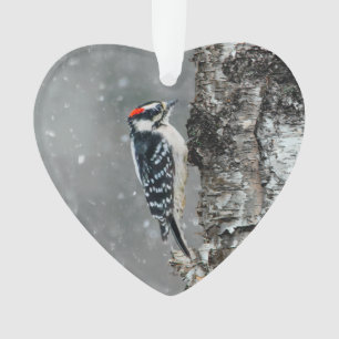 Downy Woodpecker in Snow - Original Photograph Ornament