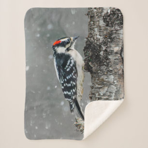 Downy Woodpecker in Snow - Original Photograph Sherpa Blanket