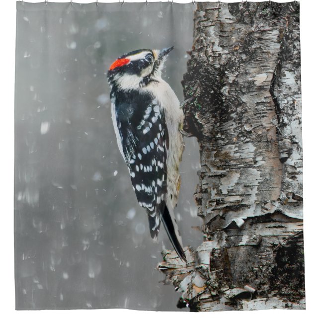 Downy Woodpecker in Snow - Original Photograph Shower Curtain (Front)