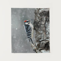 Downy Woodpecker in Snow - Original Photograph