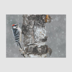 Downy Woodpecker in Snow - Original Photograph Tissue Paper