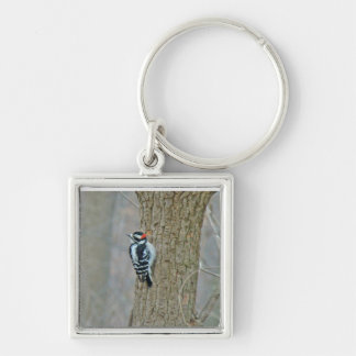 Downy Woodpecker Items Key Ring