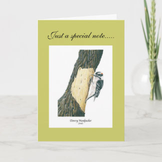 Downy Woodpecker (Male) Thank You Card