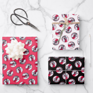 Downy Woodpecker on Red Feeder Original Bird Art Wrapping Paper Sheet