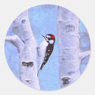 Downy Woodpecker Painting - Original Bird Art Classic Round Sticker