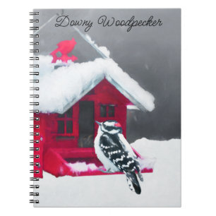 Downy Woodpecker Painting - Original Bird Art Notebook