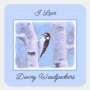 Downy Woodpecker Painting - Original Bird Art Square Sticker