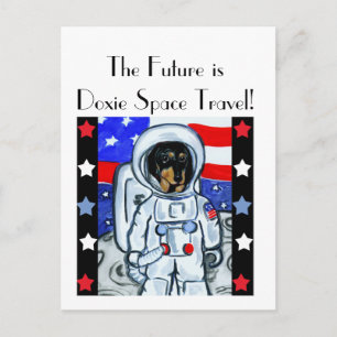 DOXIE ASTRONAUT   POSTCARD