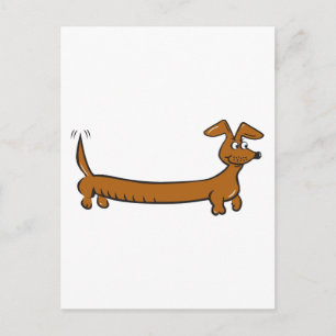 Doxie Dachshund Postcard
