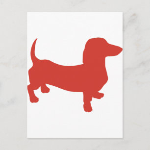 Doxie - Dacshund Postcard