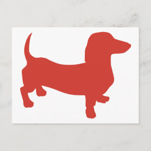 Doxie - Dacshund Postcard