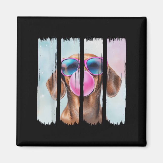 Doxie Dog Blowing Bubblegum Wearing Gles Cute Dach Magnet (Front)