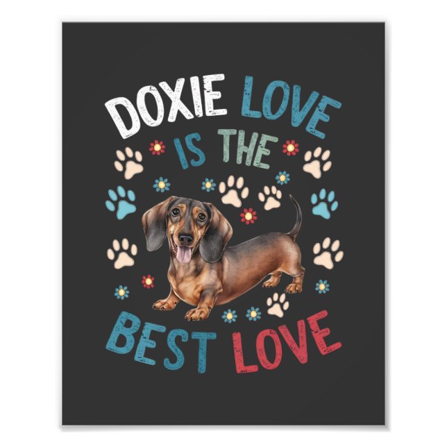 Doxie Love Is The Best Love Photo Print (Front)
