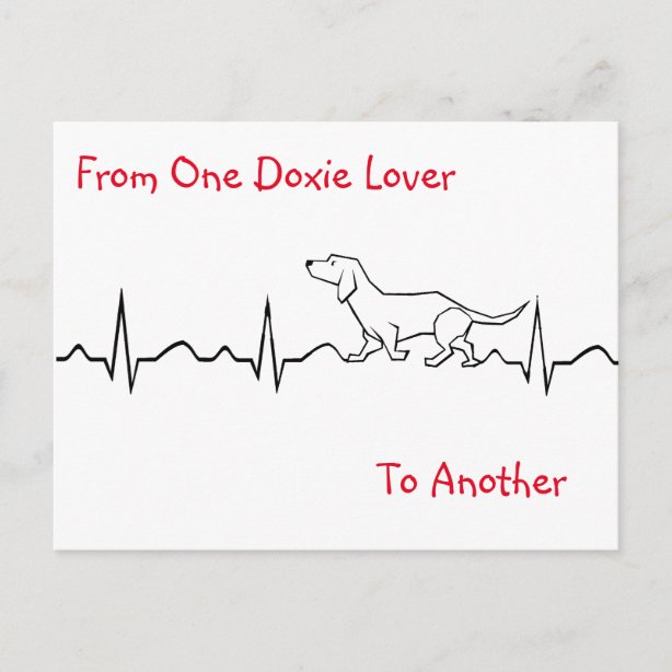 Doxie Postcards Zazzle AU